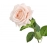 75CM Simulated Hand Moisturizing Rose INS Wind Single Head Rose